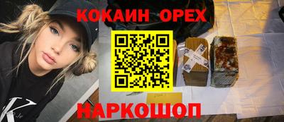 спиды Новодвинск
