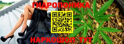 прущие крисы Новозыбков
