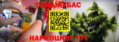 СК Новокубанск