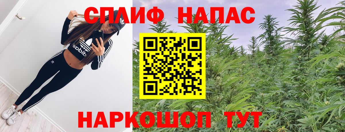 Каннабис сатива Углич